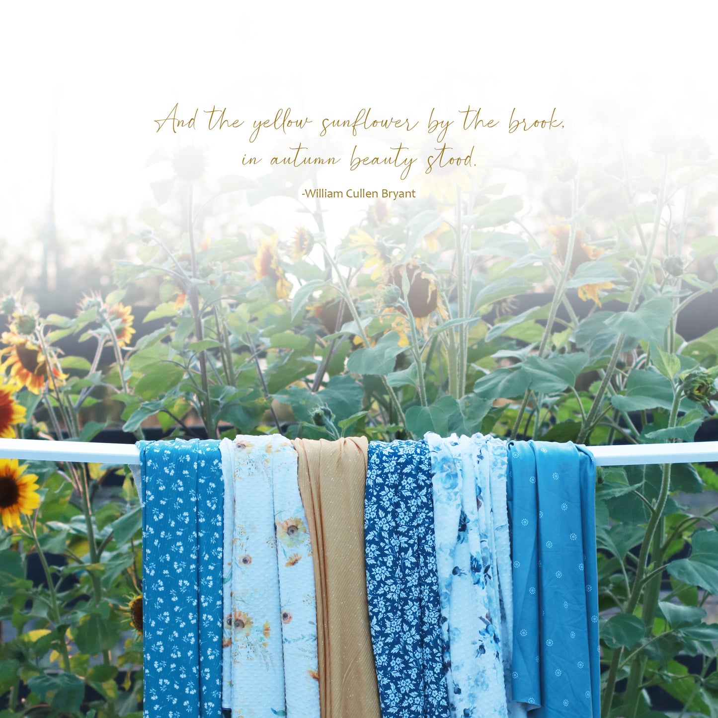 Galaxy Print in Yellow | Brushed Rib Knit Fabric | SOLD BY THE FULL BOLT