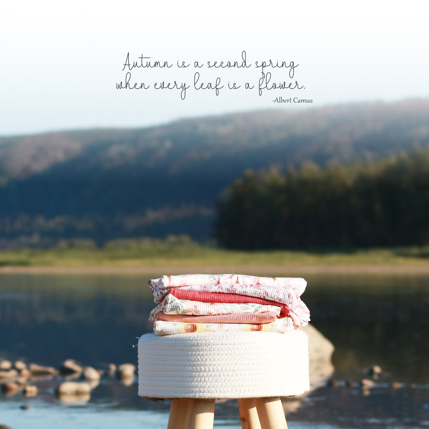 Everly Floral | Brushed Rib Knit Fabric | SOLD BY THE FULL BOLT