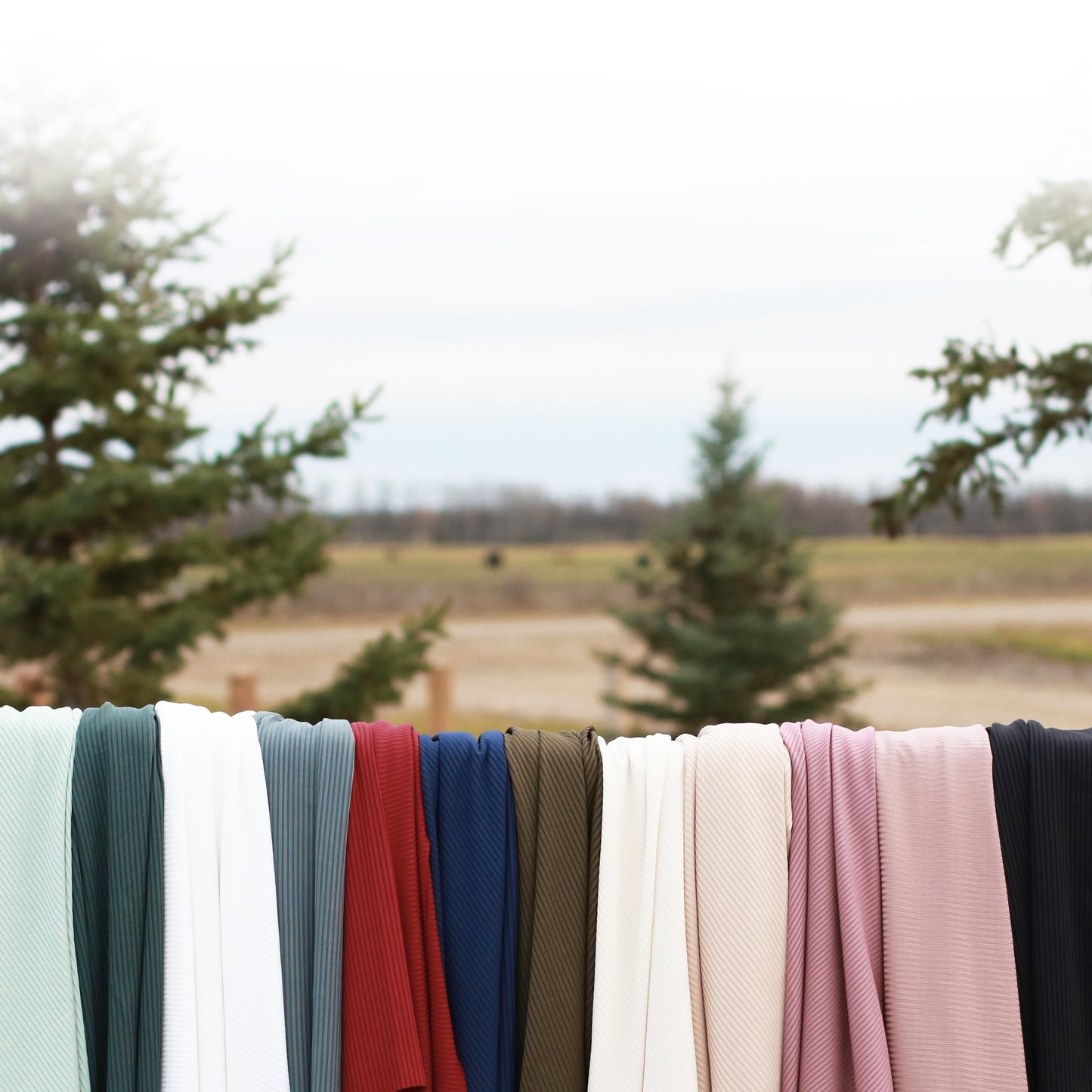 Steel Green Solid | Unbrushed Rib Knit Fabric