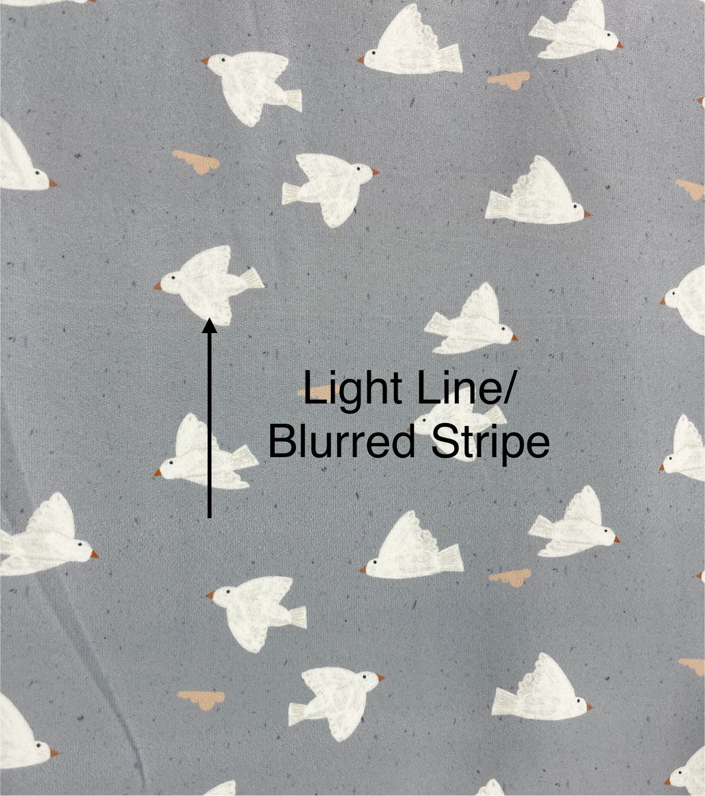 Flaw Notice Below - Save 25% | Southern Birds | Eureka Jersey Knit Fabric