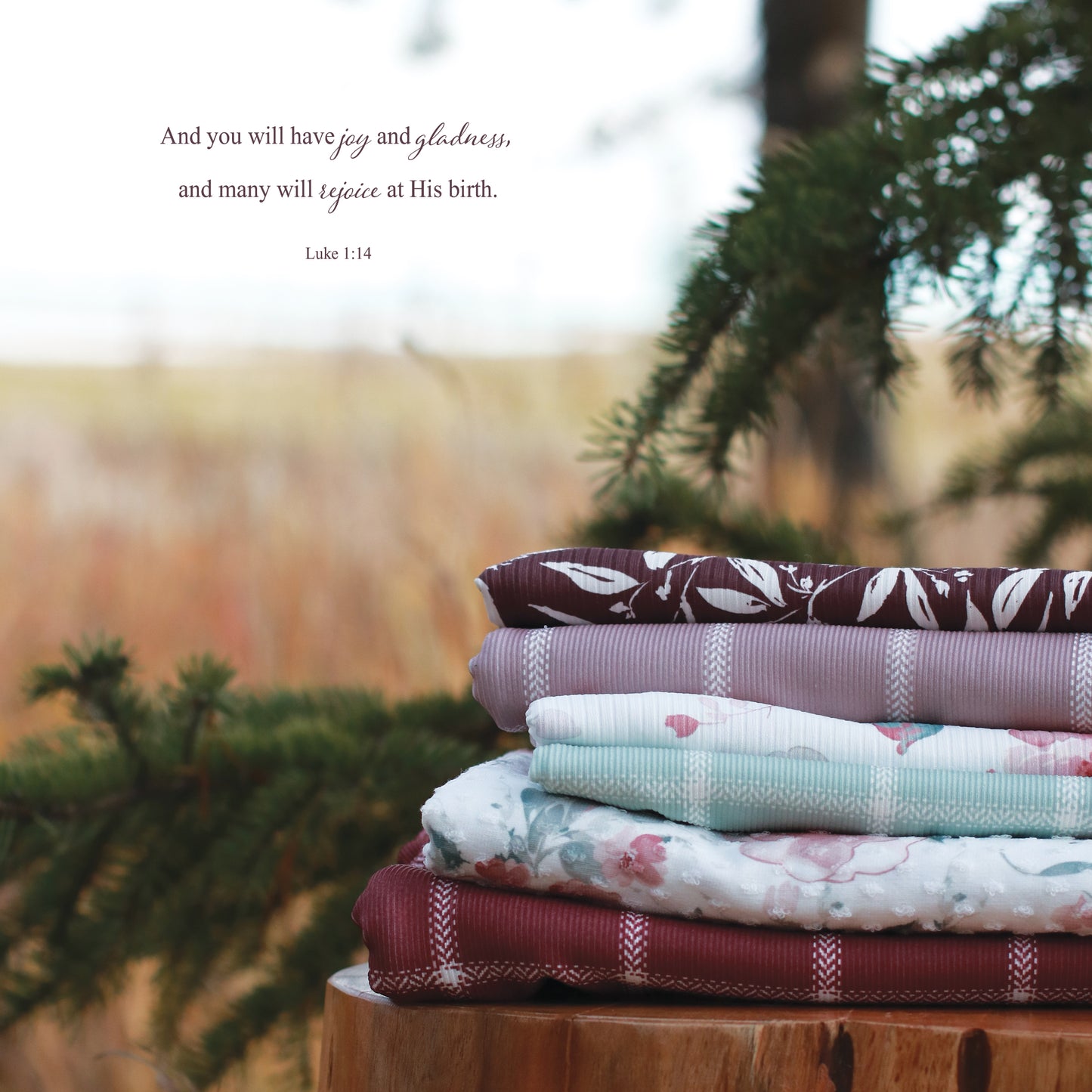 Jenna Floral in White & Red | Swiss Dot Knit Fabric